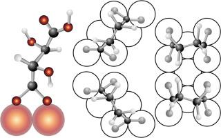 The stereochemistry of 1,4-dicarboxylic acids on Cu(110): Sergeants & soldiers, surface explosions and chiral reconstructions