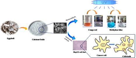 Harnessing the potency of eco-friendly calcium oxide derived from eggshells for enhanced photocatalytic activity and biocompatibility evaluation in HepG2 cell line