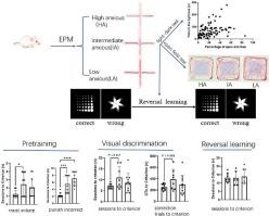 Impact of anxiety profiles in trait anxiety on visual discrimination performance in Wistar rats