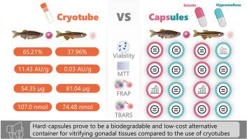 Biodegradable capsules as a sustainable and accessible container for vitrification of gonadal tissue using the zebrafish animal model