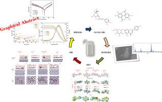 Insight into anti-corrosion behavior of Cladanthus mixtus (L.) flower extracts as a biodegradable inhibitor for carbon steel in acid medium: Experimental and theoretical studies