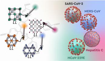 Virucidal activity of porphyrin-based metal-organic frameworks against highly pathogenic coronaviruses and hepatitis C virus