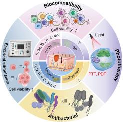 Two-dimensional nanomaterials: A multifunctional approach for robust for diabetic wound repair