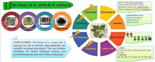 Phytochemicals screening, nutritional assessment and antioxidant activities of A. viridis L. and A. spinosus L. leaves: A comparative study