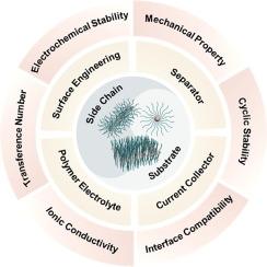 Emerging macromolecular brush-based materials for stabilizing lithium metal anodes