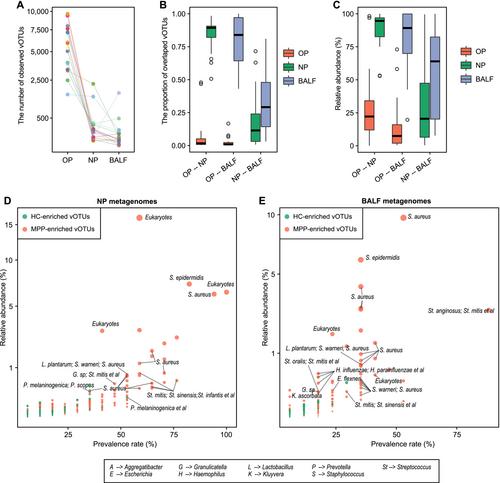 Next-Generation Sequencing for Characterizing Respiratory Tract Virome and Improving Detection of Viral Pathogens in Children With Pneumonia