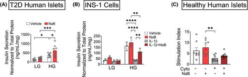 Sodium butyrate prevents cytokine-induced β-cell dysfunction through restoration of stromal interaction molecule 1 expression and activation of store-operated calcium entry