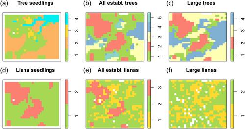 Species assemblages and their drivers differ between trees and lianas in a seasonal evergreen forest in Thailand