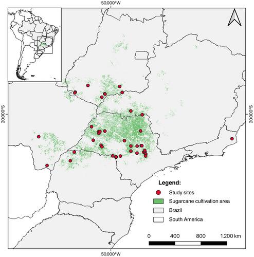 Soil carbon stocks in sugarcane cultivation: An evidence synthesis associated with land use and management practices