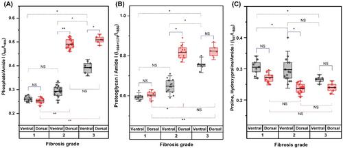 Clinical implications of linking microstructure, spatial biochemical, spatial biomechanical, and radiological features in ligamentum flavum degeneration