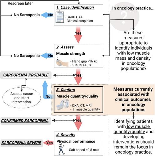 Assessing Sarcopenia in Advanced-Stage Ovarian Cancer Patients Undergoing Neoadjuvant Chemotherapy: A Case Series