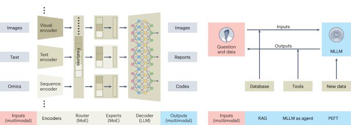 Multimodal large language models for bioimage analysis