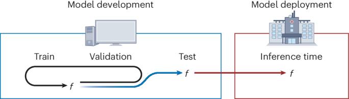 Guiding questions to avoid data leakage in biological machine learning applications