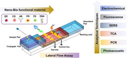 Lateral flow assays: Progress and evolution of recent trends in point-of-care applications