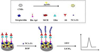 Electrochemical aptasensor based on a dual signal amplification strategy of 1-AP-CNHs and ROP for highly sensitive detection of ERα