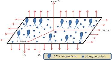 Bioconvective three-dimensional flow of Sutterby nanoliquid due to moving plate with activation energy applications