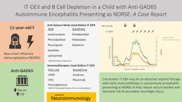 IT-DEX and B cell depletion in a child with anti-GAD 65 autoimmune encephalitis presenting as NORSE: A case report