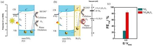 Photoelectrochemical valorization of cellulose over bismuth-based oxide modified titanium dioxide photoanodes