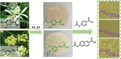 Synthesis and polymerization kinetics of bio-based liquid crystal polyesters based on plant-derived phenolic acid