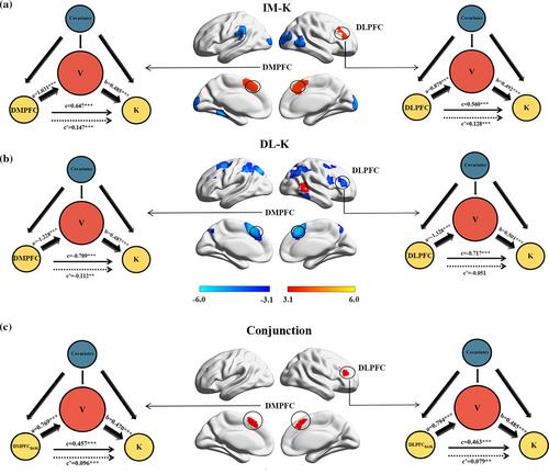 The computational and neural substrates of individual differences in impulsivity under loss framework