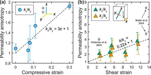 A Model for Melt-Preferred Orientation and Permeabilities in Deformed Partially Molten Peridotites