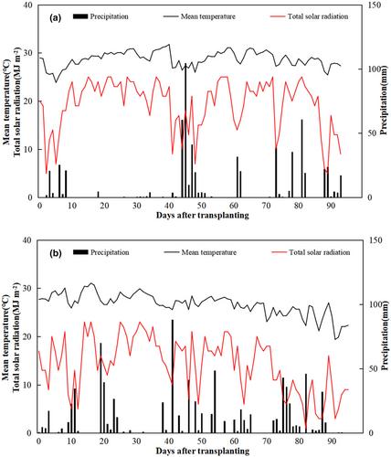 Green manuring improves soil quality, grain yield, and grain anthocyanin content in colored rice cultivated in tropical regions