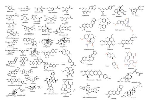 Berberis lycium: A Miracle Medicinal Plant with Multifaceted Health Benefits