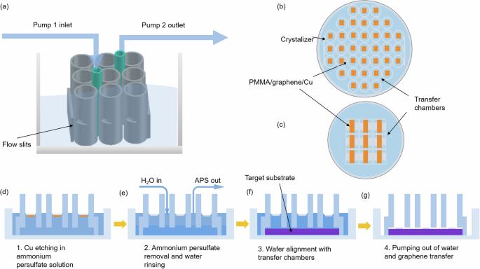 Automated and parallel transfer of arrays of oriented graphene ribbons