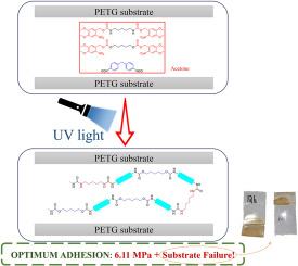 Optimization of the performance of UV light-responsive curing of polyurethane-urea adhesive formulations