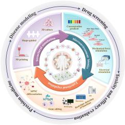 Trends in organ-on-a-chip for pharmacological analysis