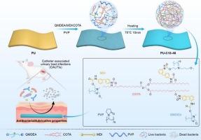 A scalable and universal strategy for constructing long-term antibacterial coatings with lubricant property on medical catheters