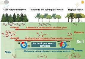 Characteristics and assembly mechanisms of bacterial and fungal communities in soils from Chinese forests across different climatic zones