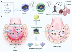 Pulmonary delivery of bioadhesive nanoparticles for ALI improvement and ARDS prevention with a single-dose administration