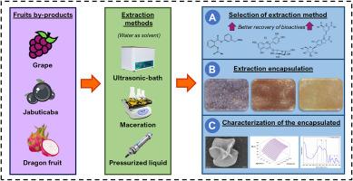 Application of functional compounds from agro-industrial residues of Brazilian's tropical fruits extracted by sustainable methods in alginate-chitosan microparticles