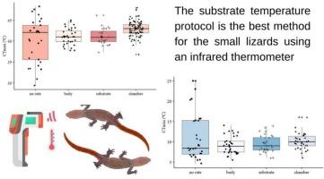 Different approaches to understanding methodological adequacy in ecophysiological studies on small ectotherms