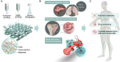 Advanced tumor organoid bioprinting strategy for oncology research