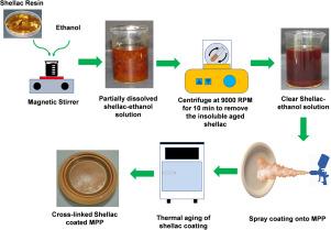 PFAS free, food-grade, water and grease-resistant coating based on crosslinked shellac for molded pulp products