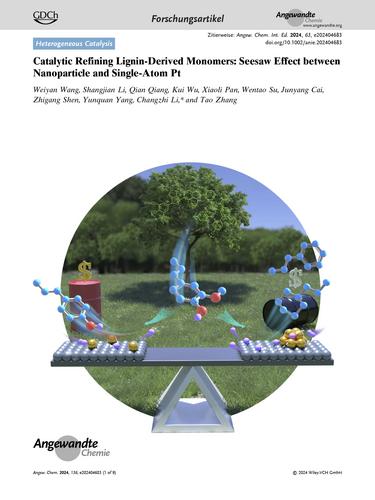 Frontispiz: Catalytic Refining Lignin-Derived Monomers: Seesaw Effect between Nanoparticle and Single-Atom Pt