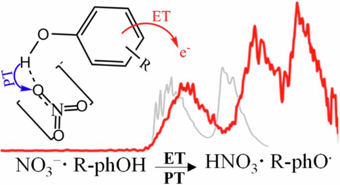 Photodetachment photoelectron spectroscopy shows isomer-specific proton-coupled electron transfer reactions in phenolic nitrate complexes