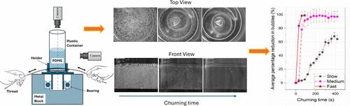 Churning-Motion-Assisted Bubble Removal: A Low-Cost Approach for Enhancing PDMS Mixture Quality