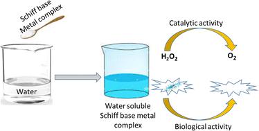 Water-soluble Schiff base ligands and metal complexes: an overview considering green solvent