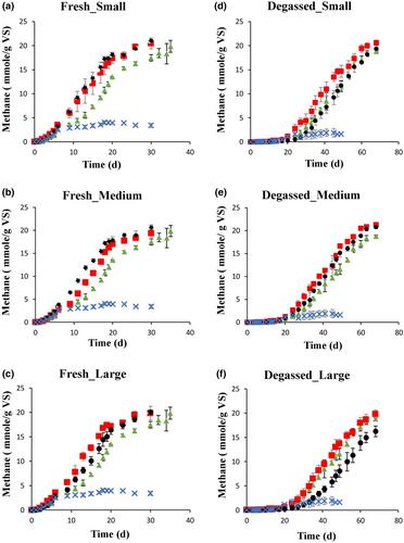 Interaction between magnetite and inoculum characteristics in accelerating methane production kinetics