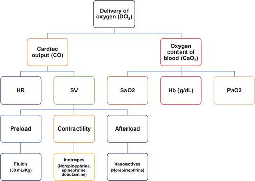 State of the art of sepsis care for the emergency medicine clinician