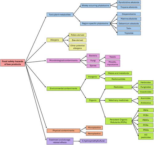 Underexplored food safety hazards of beekeeping products: Key knowledge gaps and suggestions for future research