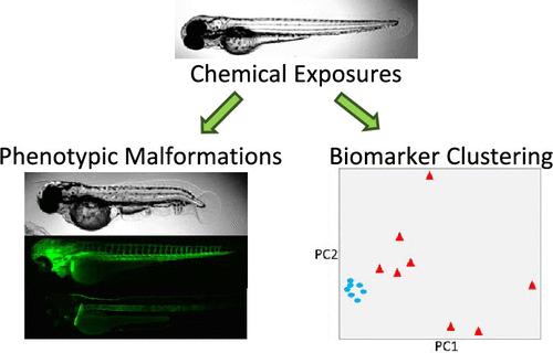 Applications of Zebrafish Embryo Models to Predict Developmental Toxicity for Agrochemical Product Development