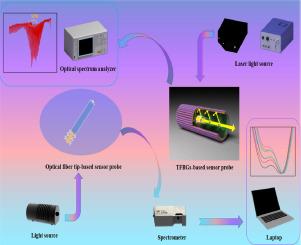 Advanced fiber optic sensors for quantitative nitrite detection: Comparative analysis of plasmonic tilted fiber Bragg gratings and fiber optic tips with ion-imprinted polymers