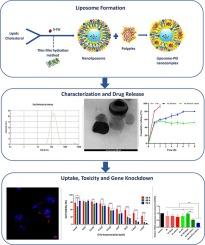 Therapeutic targeting of siRNA/anti-cancer drug delivery system for non-melanoma skin cancer. Part I: Development and gene silencing of JAK1siRNA/5-FU loaded liposome nanocomplexes