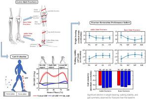 Methods to quantify gait rehabilitation following lower limb fractures