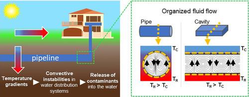 Release of contaminants from polymer surfaces under condition of organized fluid flows