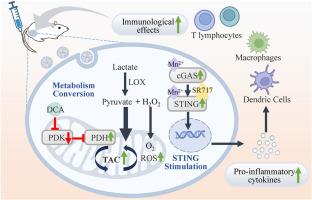 Metabolic regulating enhanced immunological activating nanocomposites for tumor microenvironment normalization and immunotherapy